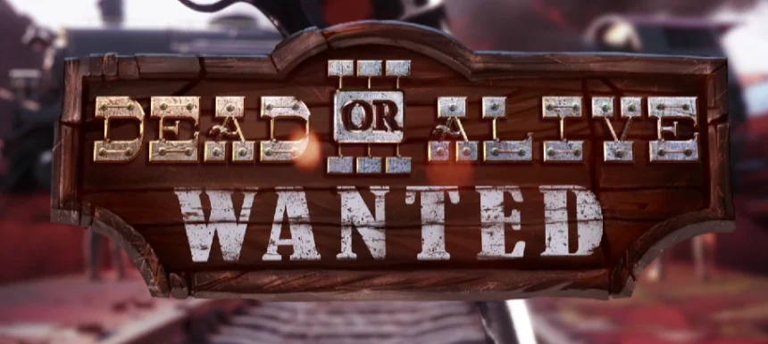 dead or alive 3 wanted by netnet